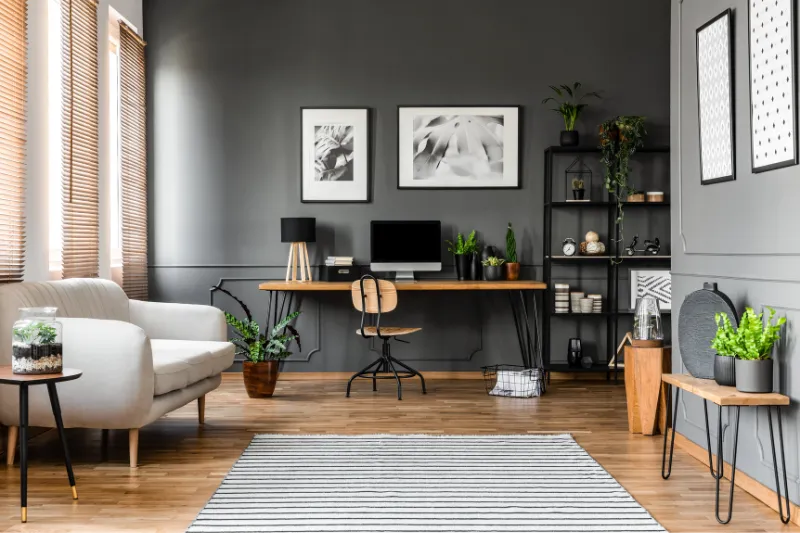 Modern home office with dark gray walls, wooden desk with computer, chair, various plants, and minimalist decor. A beige sofa and a striped rug are in the foreground, shelves with books and decor items are on the right.
